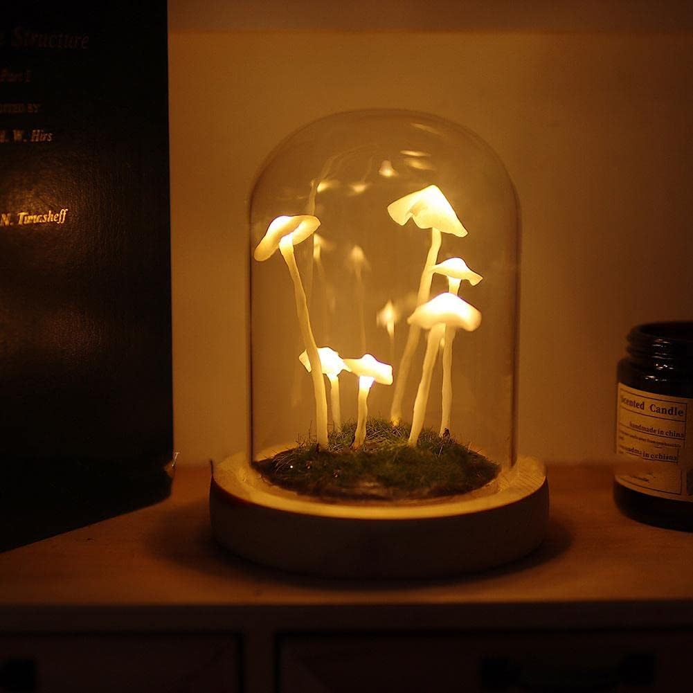 Diy Mushroom Led Night Light Kit With Glass Dome