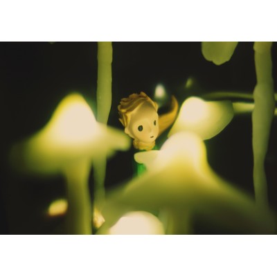 Diy Mushroom Led Night Light Kit With Glass Dome