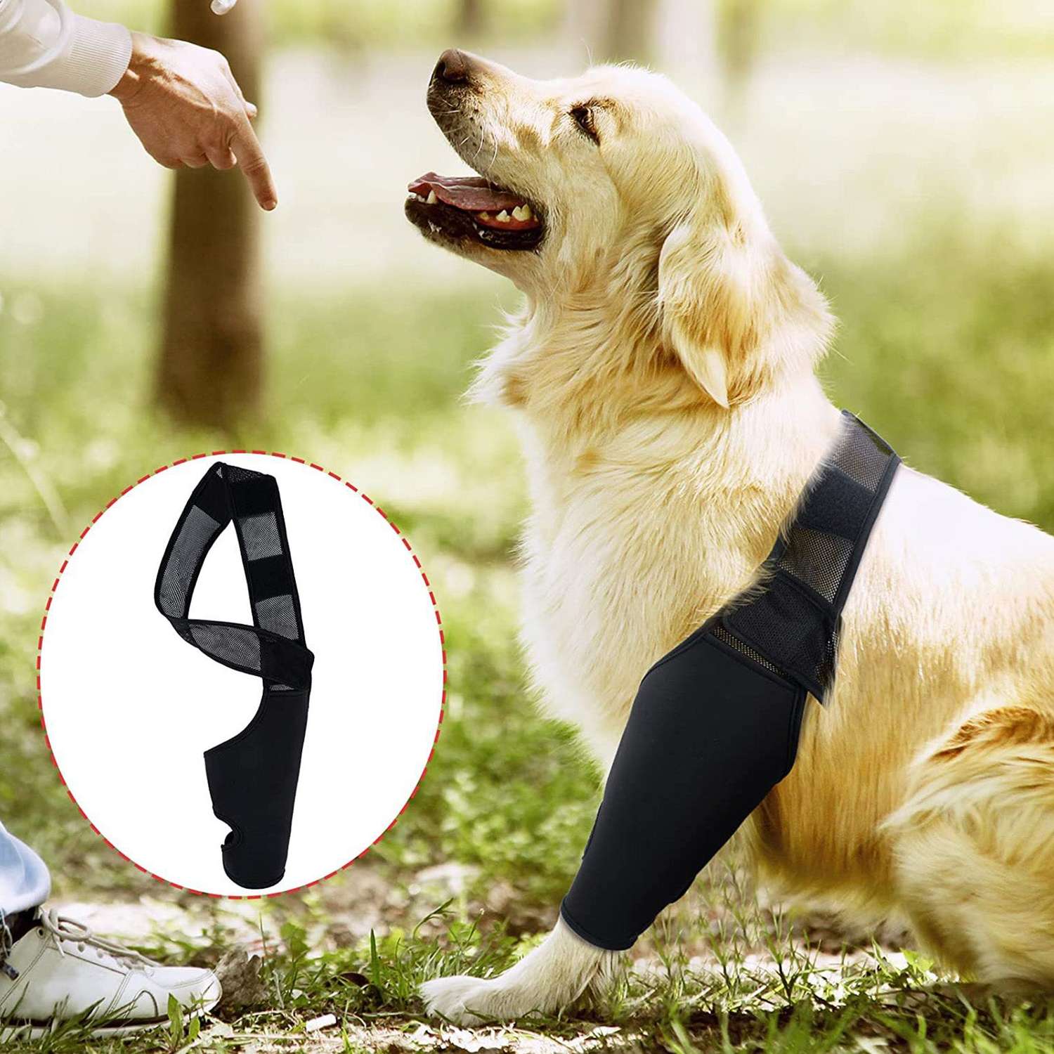 Dog Elbow Brace for Joint Support, Arthritis, and Injury Recovery