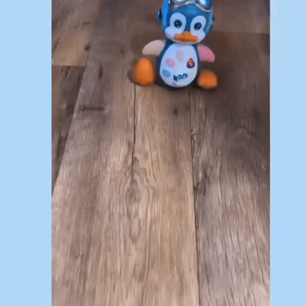 Musical Penguin Toy with Multiple Play Modes to Develop Crawling for Babies 3+ Months