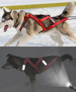 Dog Harness Weight Pulling Sledding Harness Mushing Back Harness For Large Dogs Husky Canicross Skijoring Scootering