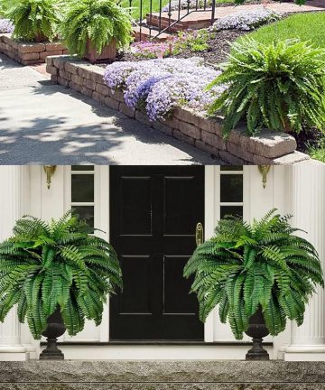 Uv Resistant Lifelike Artificial Boston Fern For Outdoors