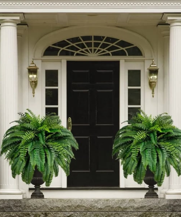 Uv Resistant Lifelike Artificial Boston Fern For Outdoors