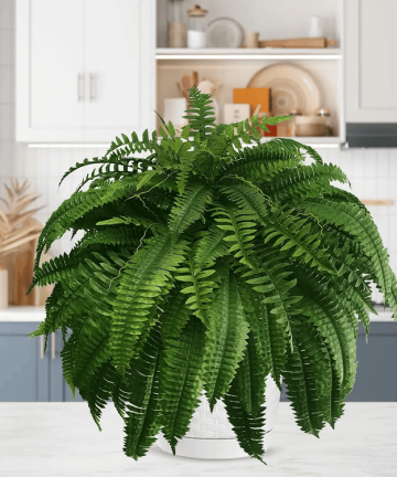 Uv Resistant Lifelike Artificial Boston Fern For Outdoors