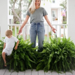 Uv Resistant Lifelike Artificial Boston Fern For Outdoors